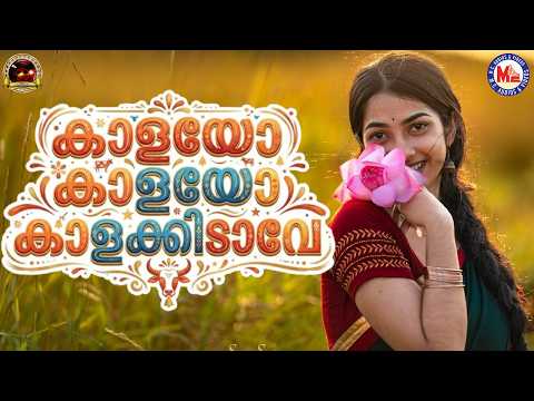 കാളയോ കാളയോ കാളക്കിടാവേ | Nadanpattukal Malayalam | Folk Song | Pranavam Sasi