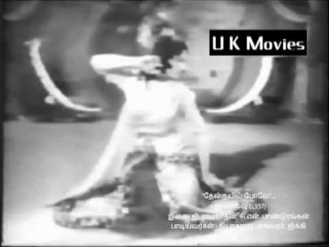 TAMIL RARE MKT JIKKI SONG  Then kuyil polevMv  PUTHU VAZHVU 1957