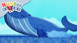 ​@Numberblocks | Meet the Number Whale 🐳 | Educational | Learn to Count