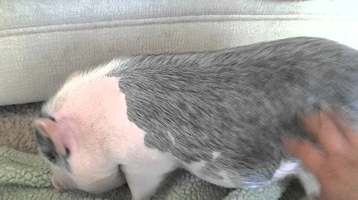 2012-07-08_17-05-28_352.mp4