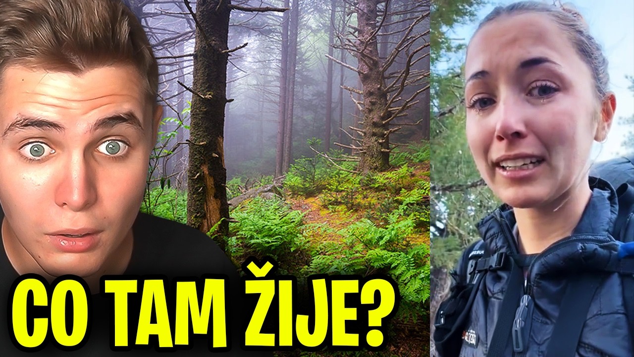 Proč Lidi Mizí v Tomhle Lese?