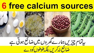 6 free calcium sources | love birds calcium food | best calcium for lovebirds screenshot 5