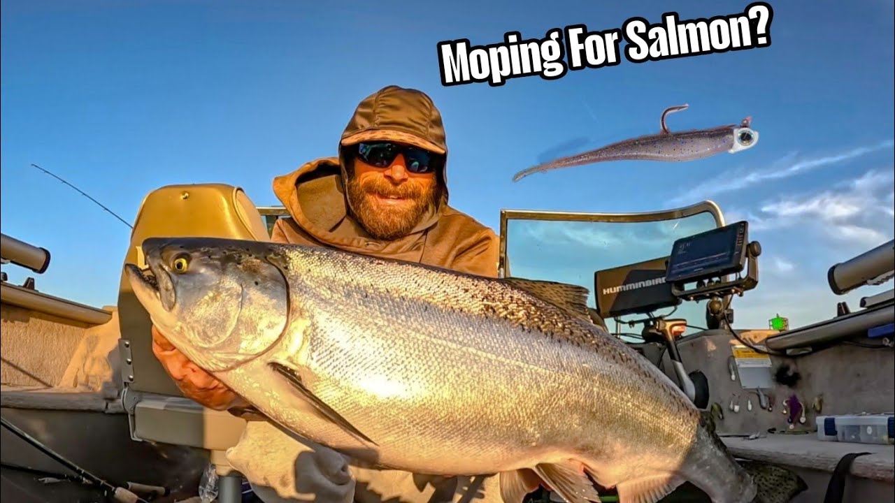 Lake Michigan Salmon Fishing | Secret Bass Fishing Technique Works For Kings?! ( Moping )