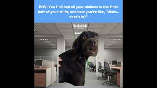#CustomerSupport #CustomerExperience #CX #CustomerService #fyp #Trending #Viral #Chirpish