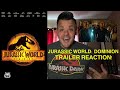 Jurassic World: Dominion Trailer Reaction!