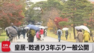 秋の乾通り ３年ぶり公開（2022年11月26日）