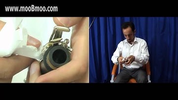 mooBmoo com Clarinet E019