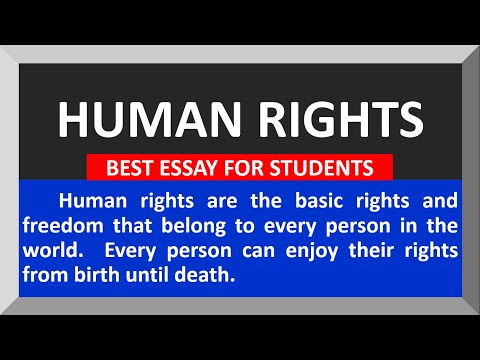 essay on human rights and equality