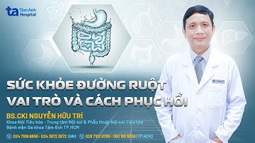 Sức khỏe đường ruột - Vai trò và cách khắc phục | BS.CKI Nguyễn Hữu Trí | THTA