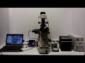 Nikon Eclipse Ti-E Inverted Microscope Phase Contrast Fluorescence DIC Pred.TI2 - 12140