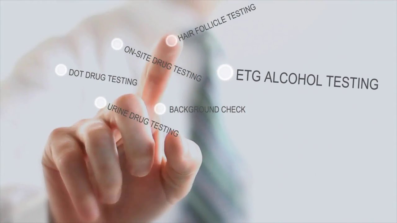 Veritas Lab Urine Drug Test Hair Follicle Drug Test EtG Alcohol