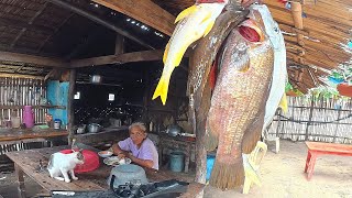 SAPAT NA BIYAYA๐ | MAY TUNGOL NA๐ #food #viral #fishing #fish
