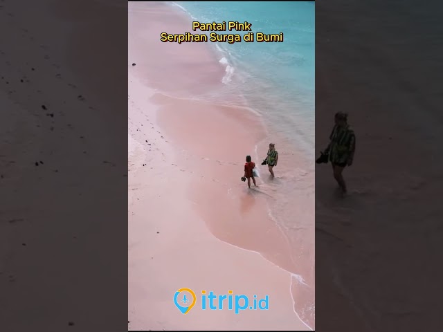 Pink Beach Lombok, Pantai Unik yang Menakjubkan #shorts #pantaipink #wisatalombok #itrip class=