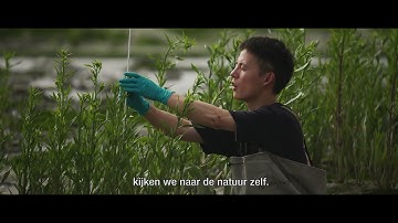 NIOZ department of Estuarine and Delta Systems Research (located in Yerseke, Zeeland)