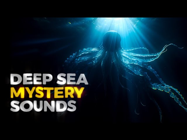 The Deep Ocean Noises We Still Can’t Identify