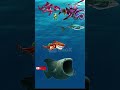 Hungry Shark world evolution gameplay King shark hungryshark 