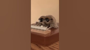 Lucas the Musical Spider #LucastheSpider #cartoons #shorts