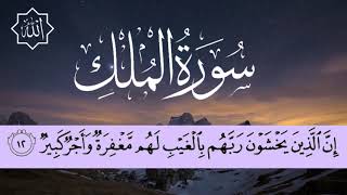 Surah Al Mulk Beautiful Quran Recite By Abdul Rehman Al Ossi