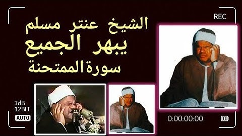 الشيخ عنتر مسلم يبهر الجميع سورة الممتحنة 