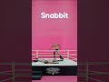 Make Snabbit A Habit 🥊