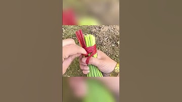 +300% пользы от обычной верёвки-если знаешь эти 6 узлов!