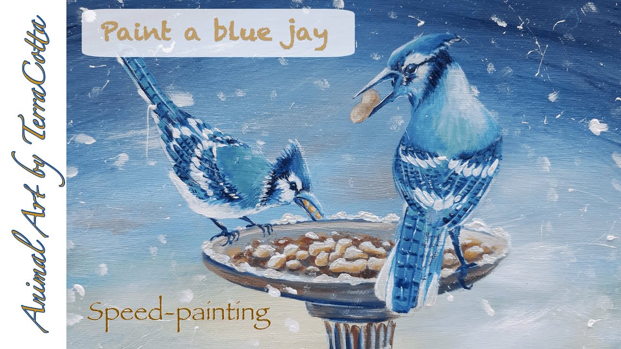 Acrylic Peanut eating BLUE JAY - painting tutorial with phthalo blue