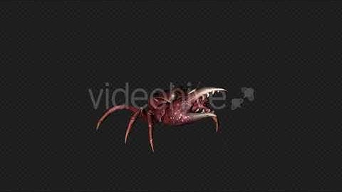 Crab Attack Pack02 4 In 1 | Motion Graphics - Envato elements