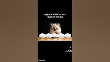 Which one do you like more? #asmr #cat #ai #keyboard #satisfying #asmrvideo