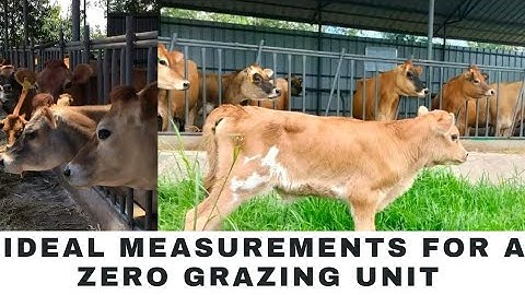 Zero Grazing Unit Construction: Essential Tips & Measurements