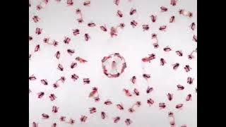 فاصل قناة ميلودي دراما 1#😱😱 نادر جدا 2011-2012 تقليد ام بي سي بوليود ولم نراها بعد