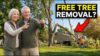 Famous 11 Tips On Free Tree Removal For Seniors Profile