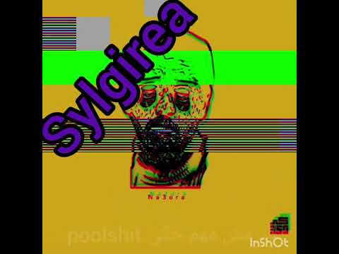 Na3ora مين هدول Sylgi Lyrics Video