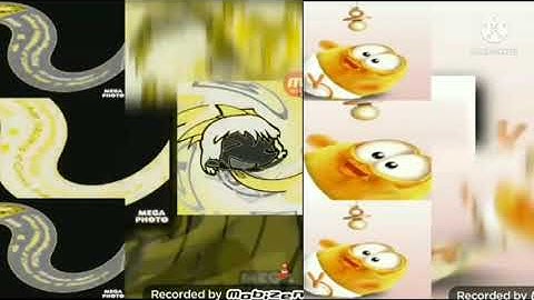 213 shuric scans with are slides v2