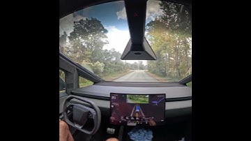 Cybertruck FSD V14.1-Road patch and branch in road. Guess which one it steers around.