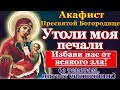 Акафист Пресвятой Богородице пред иконой Утоли моя печали, молитва Божией Матери