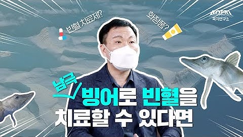 남극 물고기 연구가 우리에게 미치는 영향 (feat. 빈혈치료제)