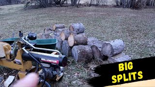 Splitting BIG rounds of Spruce | Wallenstein WXR 720L by Euro Yard Service 14 views 4 months ago 28 minutes