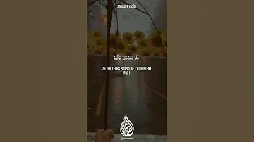 سورة يس | شيخ رعد الكردي #رعد_الكردي #اكسبلور #raadalkurdy #raadalkurdy