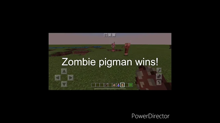 Zombie pig man vs piglin (Minecraft)