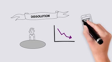 Video 8 – Dissolution