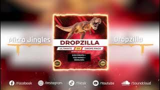 The best DJ Drops pack of 2023 - Dropzilla pack