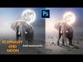 Elephant and Moon photo manipulation in photoshop