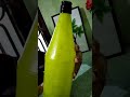 Bottle painting