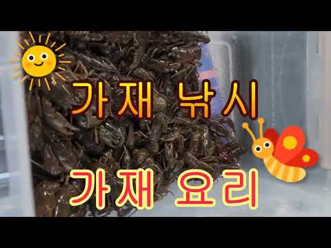 <strong>민물</strong> 가재 <strong>낚시</strong> 요리