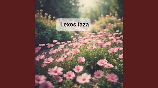 Petals of Love