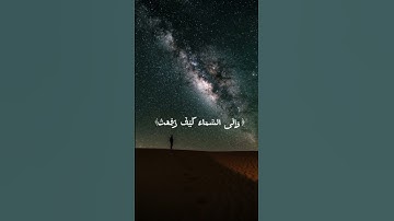 أَفَلَا يَنظُرُونَ إِلَى الْإِبِلِ كَيْفَ خُلِقَتْ  #قرآن #اكسبلور #راحة_نفسية #تلاوة_خاشعة