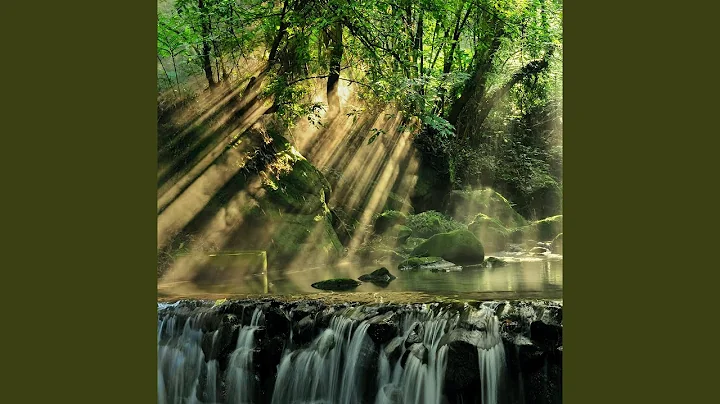 Happy Elvis Alkins Sandusky Brazil r02 nature