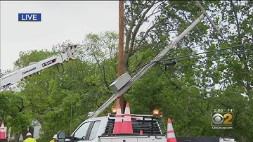 Storms Take Down Trees, Power Lines In Northwest Indiana