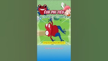 Không ngờ Ếch Phi Tiêu lại làm chuyện này với con mình? 🐸 | #shorts #Ếchphitiêu #Dendrobatidae