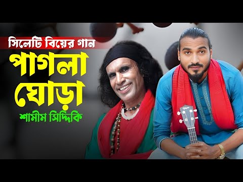 কদ্দুস বয়াতির জনপ্রিয় ধামাইল গান পাগলা ঘোড়া | শামীম সিদ্দিকি | Sylheti Biyer Geet | Dhamali Gan 2026